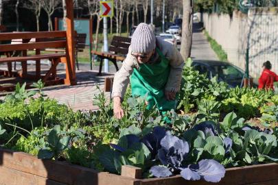 Ataşehir Kent Bostanları’nda yeni dönem heyecanı başlıyor