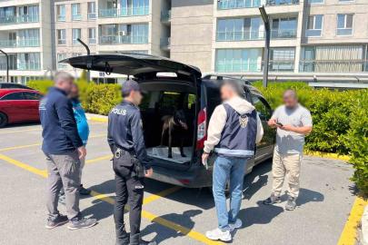 Avcılar’da köpeğe kötü muamelede bulunan şahıs yakalandı