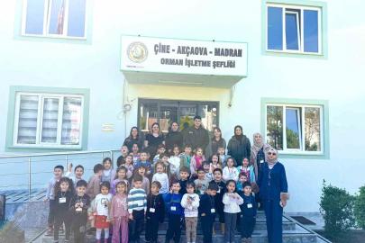 Aydın’da minik öğrencilere orman ve doğa sevgisi aşılandı