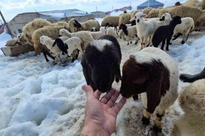 Aydınlar beldesinde iki mevsim bir arada yaşanıyor