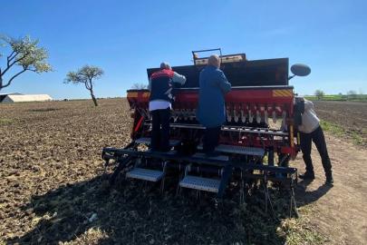 Babaeski’de aspir tohumu toprakla buluştu