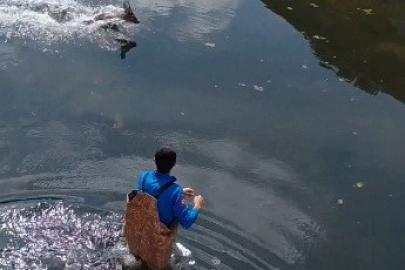 Bafra’da kanala düşen karaca kurtarıldı