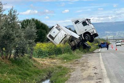 Bağa giren tır şaha kalktı