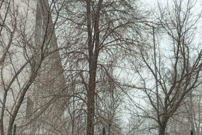 Bahar gelmeden kış geri döndü; Diyadin’e kar sürprizi