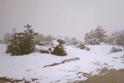 Baharı beklerken kar geldi