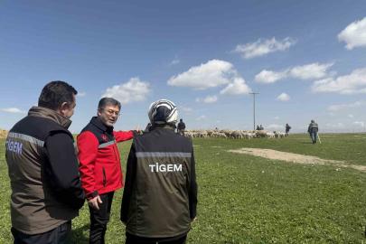 Bakan Yumaklı: (Kırsalda Bereket Küçükbaşa Destek Projesi) "En iyi ırkın oluşturulması için çalışılmış sürülerden verilecek"