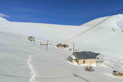 Bayburt’ta ayı saldırılarının yaşandığı yaylada ulaşım sorunu sürüyor