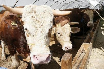 Bayram tatili 9 gün olacak mı? Gözler Kabine toplantısında
