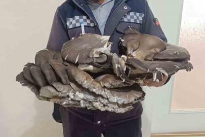 Beyşehir’de doğada bulduğu 10 kiloluk mantar şaşırttı