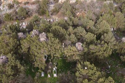 Beyşehir’de yuvalar şenlendi, leylekler vadisi canlandı