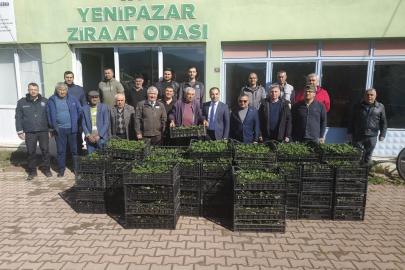 Bilecik’te 8 bin çilek fidesi üreticiyle buluştu