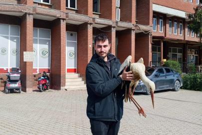 Bilecik’te yaralı leylek koruma altına alındı
