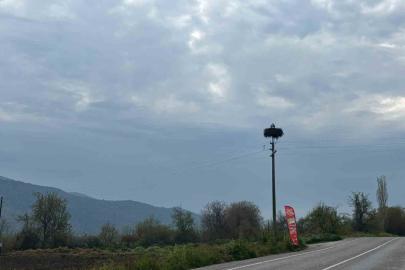 Bozdoğan’da baharın müjdecisi leylekler yuvalarına döndü