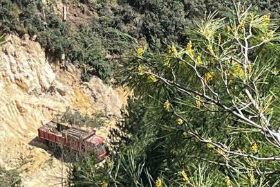 Buldan’da tartışmalı maden sahasında ağaç kesimi başladı