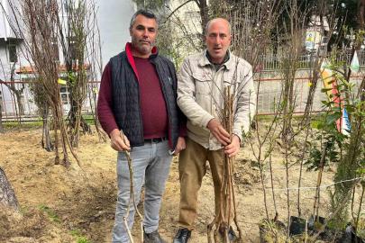 Buldan’ın bereketli toprakları fidanlarla canlanıyor