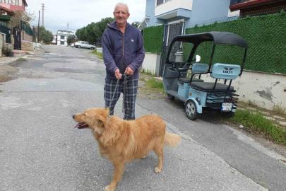 Burhaniyeli emlakçının hayvan sevgisi takdir topladı