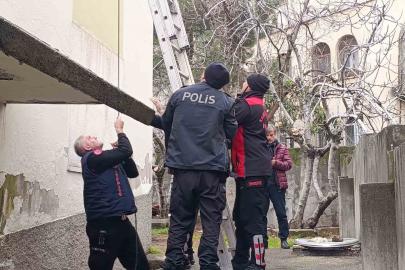 Çatı katında mahsur kalan kediyi polis ve itfaiye kurtardı