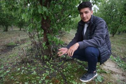 Çevreyi beyaza bürüyen fındık büyüklüğündeki dolu tarım arazilerini vurdu