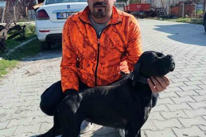 Çiğli’de arıtma tesisindeki çamur çukuruna araçla düşen işçi hayatını kaybetti