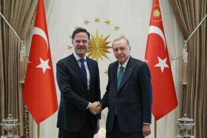 Cumhurbaşkanı Erdoğan-Rutte görüşmesinin detayları belli oldu