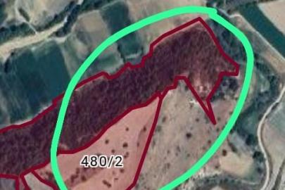 Definecilerin hedefi olan Derbent sit alanı ilan edildi