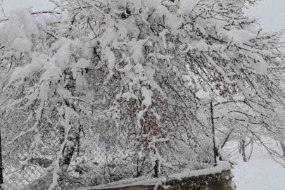 Denizli’nin yüksek kesimleri baharda beyaza büründü