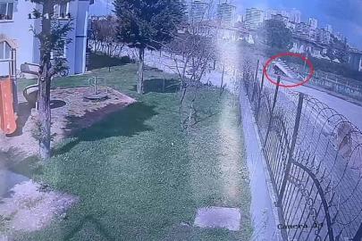 Dereye uçan kamyonetin sürücüsü hayatını kaybetti