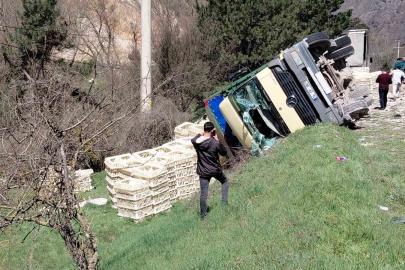 Devrilen kamyondan sürücü kurtuldu, onlarca tavuk telef oldu