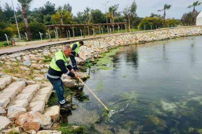 Didim’de temizlik ve düzenleme çalışmaları sürüyor