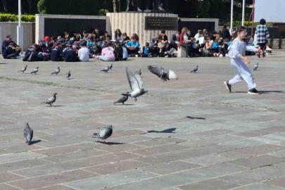 Dikkat dağıtan ortama rağmen dikkat çekmeyi başardılar