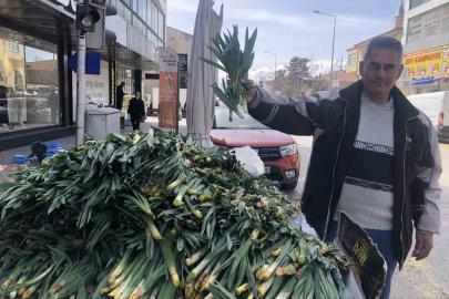 Doğal antibiyotik çiriş otu Erzincan tezgahlarında yerini aldı