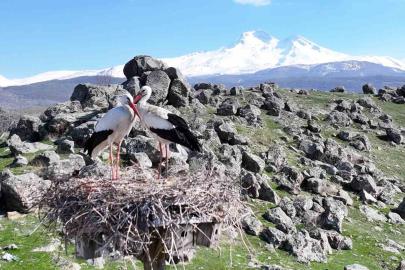 Doğanın uyanışı, Hürmetçi Sazlığı’nda sahneleniyor