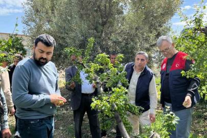 Dolu afeti sonrası hasar tespit çalışmalarına başlandı