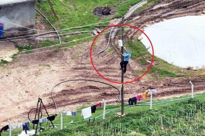 Dronu görünce kaçak hatları iptal etti