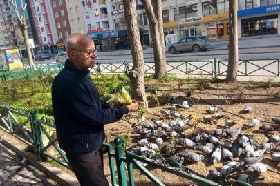 Dükkanının önüne gelen onlarca güvercini doyuruyor