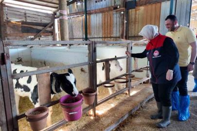 Düzce’de ari işletme sayısı artıyor