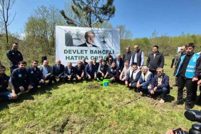 Düzce’de Devlet Bahçeli Hatıra Ormanı’na fidan dikildi