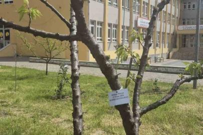 Edirne İlhami Ertem Anadolu Lisesi öğrencilerinden anlamlı etkinlik