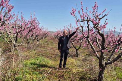 Elazığ’da meyve bahçelerinde entegre mücadele çalışması