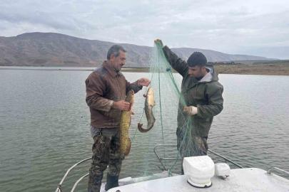 Elazığ’da su ürünleri araştırma çalışmaları sürüyor
