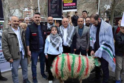 Elleriyle besleyip büyüttüğü kuzuyu Gazze’ye bağışladı