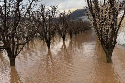 Elmalı’da dereler taştı, tarım alanları sular altında kaldı