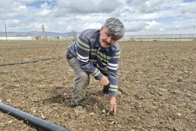 Eskişehir’de yılın ilk tohum ve fideleri toprakla buluştu