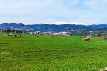 Gediz’de bahar aylarının getirdiği güzellik büyülüyor