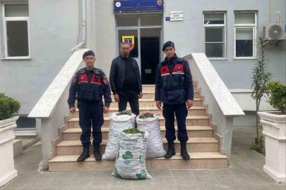 Germencik’te incir bahçesinde jandarmadan suçüstü