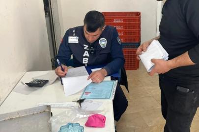 Germencik’te ruhsatlar kontrol edildi