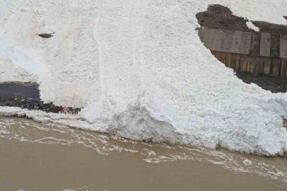 Hakkâri’de çığ: Zap Suyu’nun önünü kesti