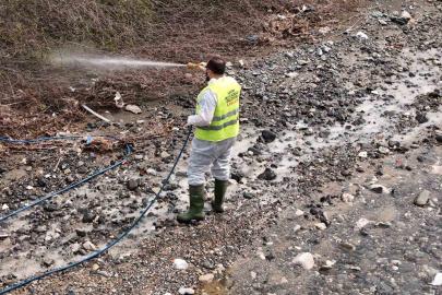Hatay Büyükşehir Belediyesi haşereyle mücadele çalışmalarına devam ediyor