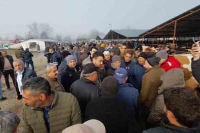 Hayvan pazarında hararetli pazarlık kamerada