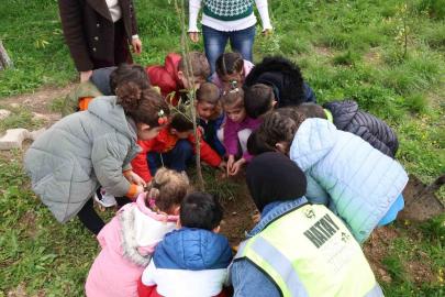 HBB’den çevre bilinci için fidan dikim etkinliği